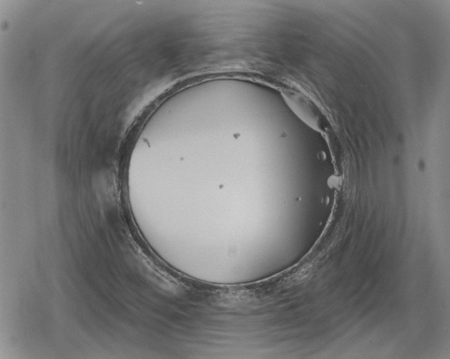 X0000078831452200611271245