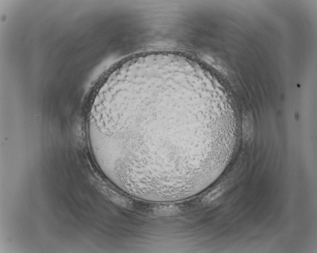 X0000078831454200611271245