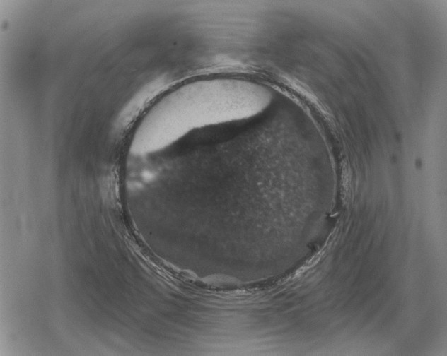 X0000078831455200611271245