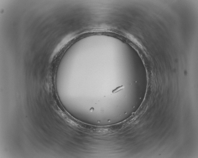 X0000078831456200611271245