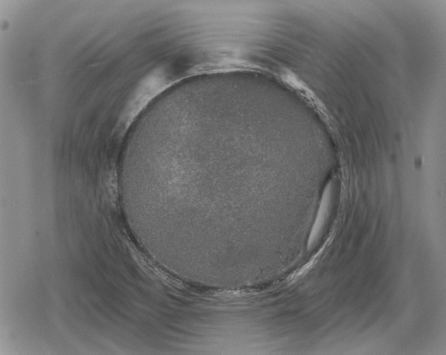 X0000078831457200611271245