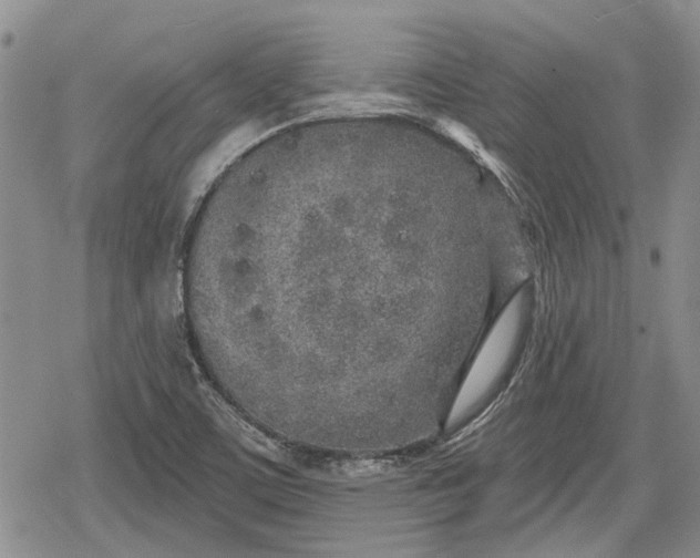 X0000078831459200611271245