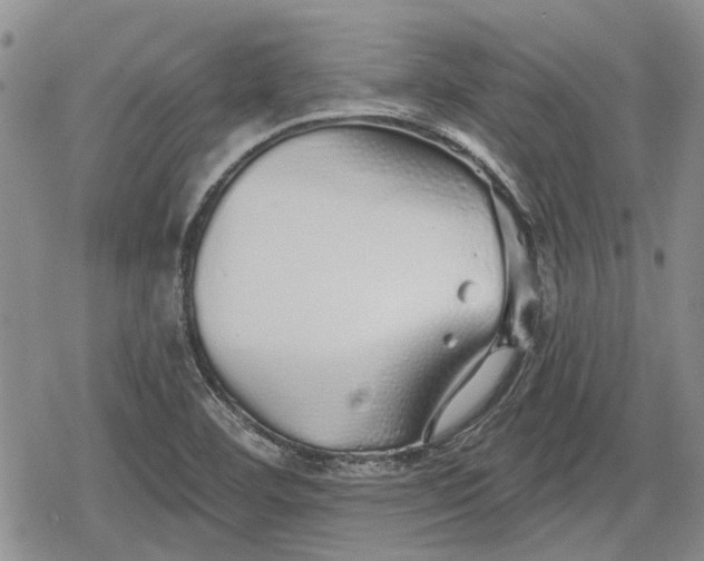 X0000078831460200611271245