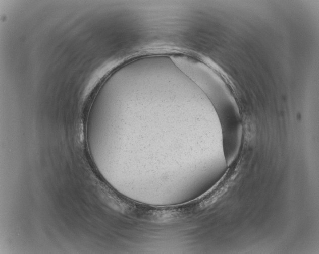 X0000078831461200611271245