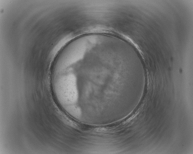 X0000078831463200611271245