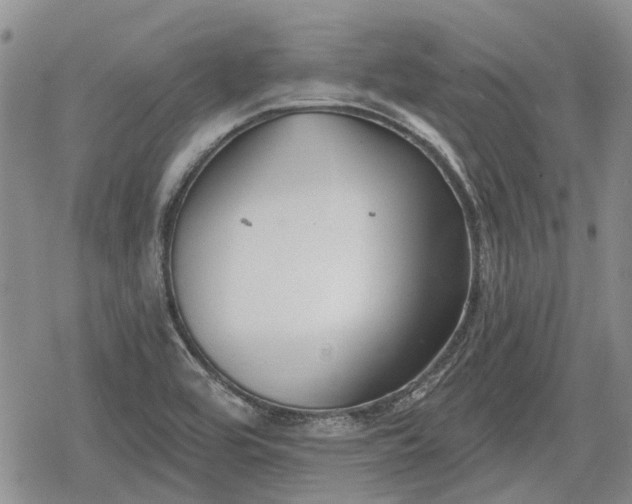 X0000078831464200611271245