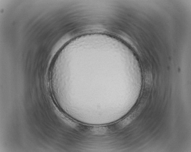 X0000078831466200611271245