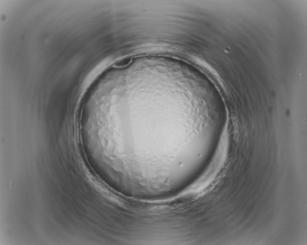 X0000078831467200611271245