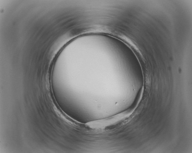 X0000078831468200611271245