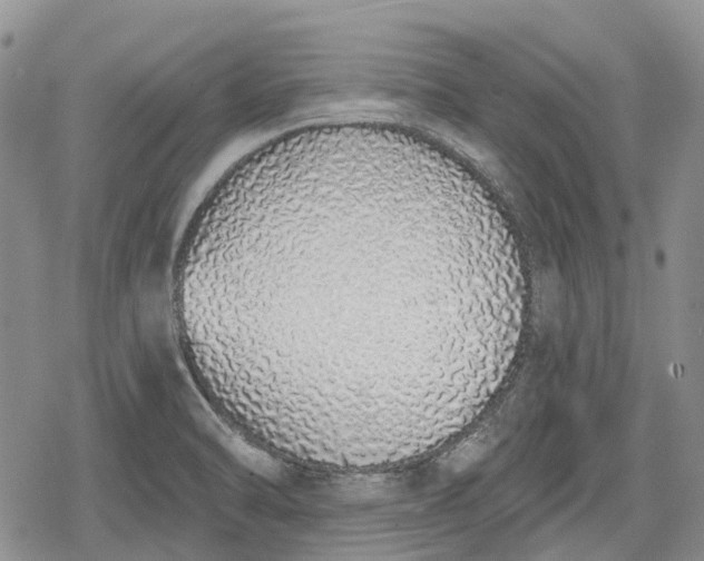 X0000078831470200611271245