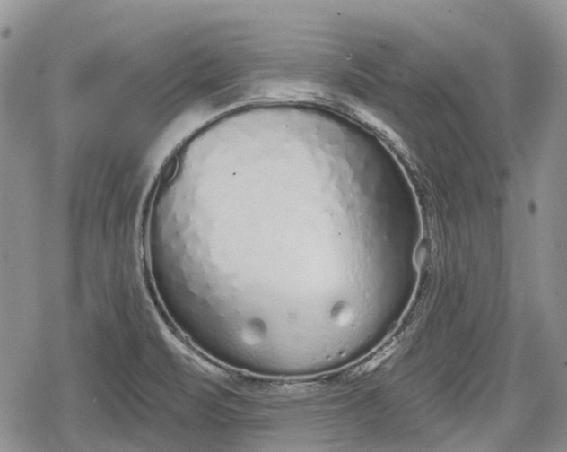 X0000078831471200611271245