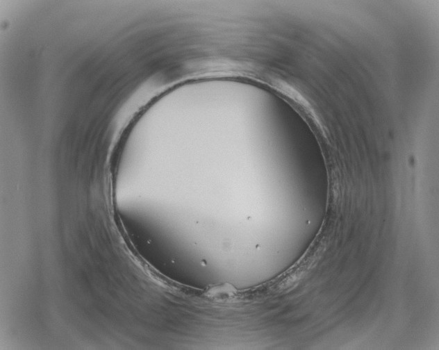 X0000078831472200611271245