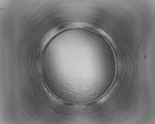 X0000078831473200611271245