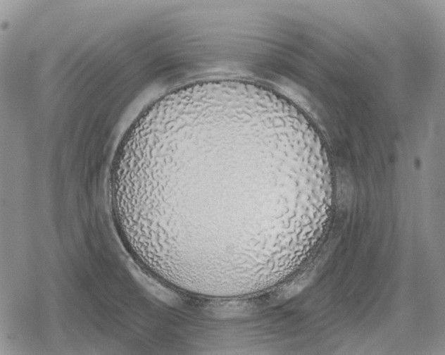 X0000078831474200611271245