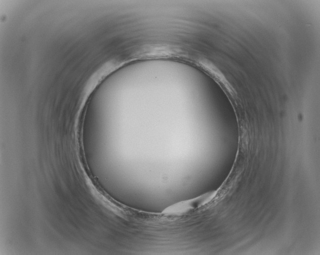 X0000078831475200611271245