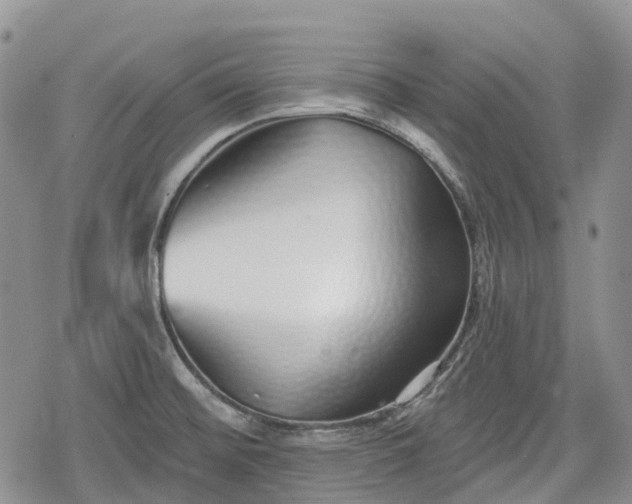 X0000078831476200611271245