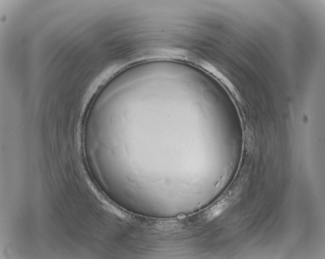 X0000078831477200611271245