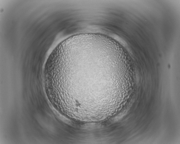 X0000078831478200611271245