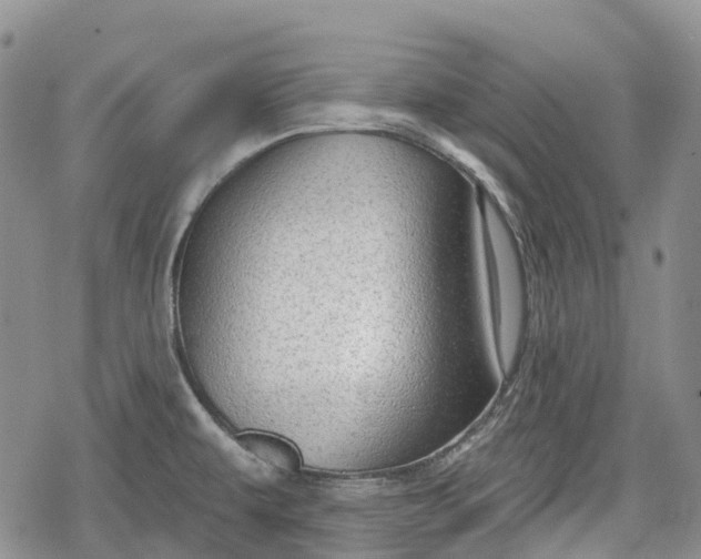 X0000078831479200611271245