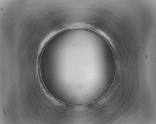 X0000078831480200611271245