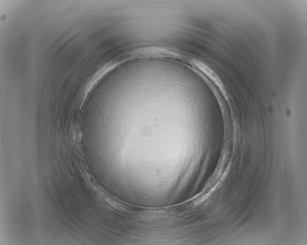 X0000078831481200611271244