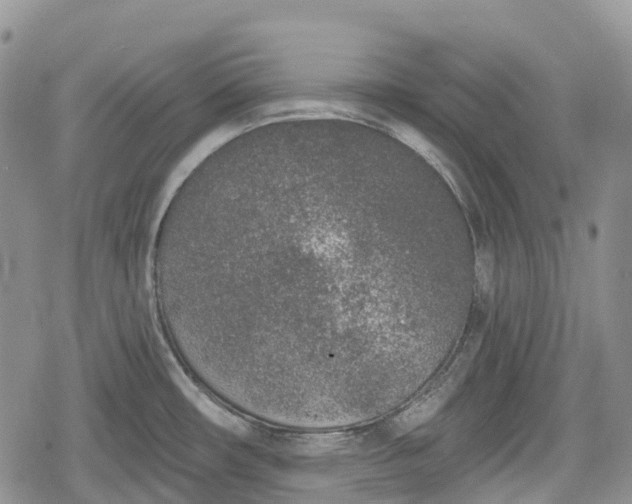 X0000078831482200611271244