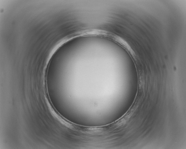 X0000078831483200611271244