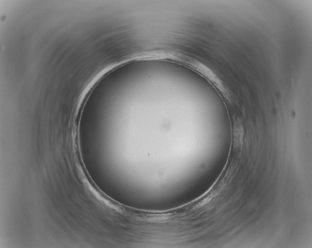 X0000078831484200611271244