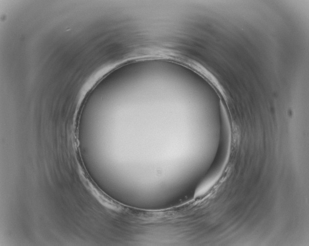 X0000078831485200611271244