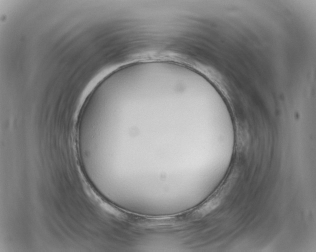 X0000078831486200611271244