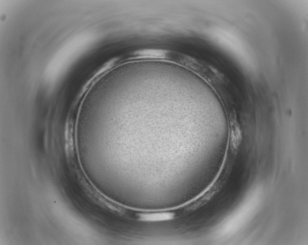 X0000078831487200611271244