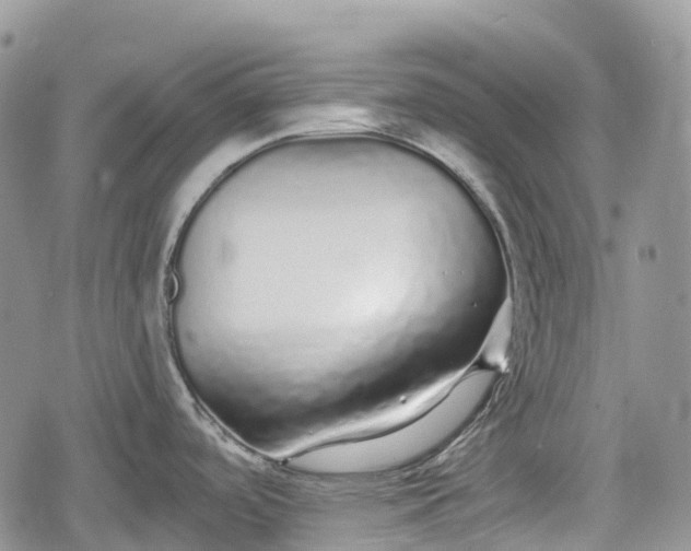 X0000078831488200611271244