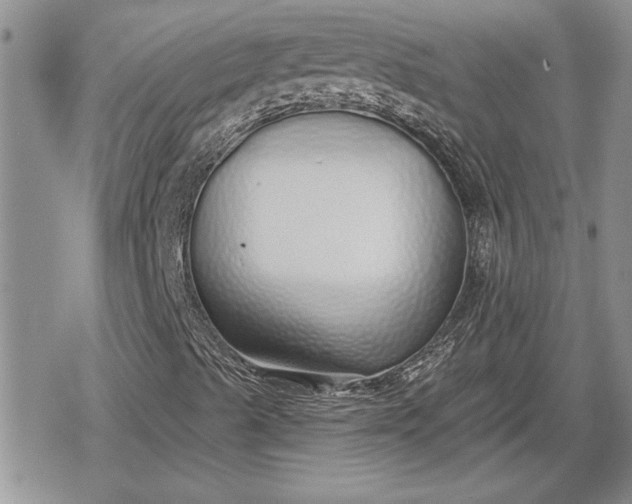 X0000078831489200611271244