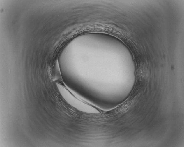 X0000078831490200611271244