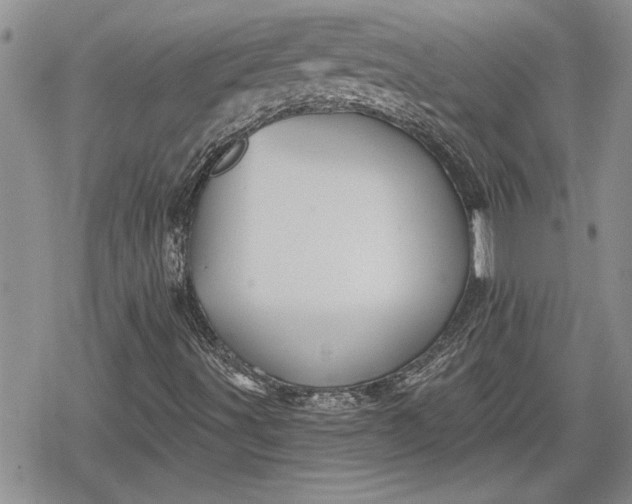 X0000078831491200611271244