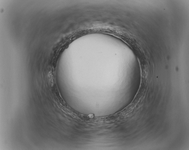 X0000078831493200611271244