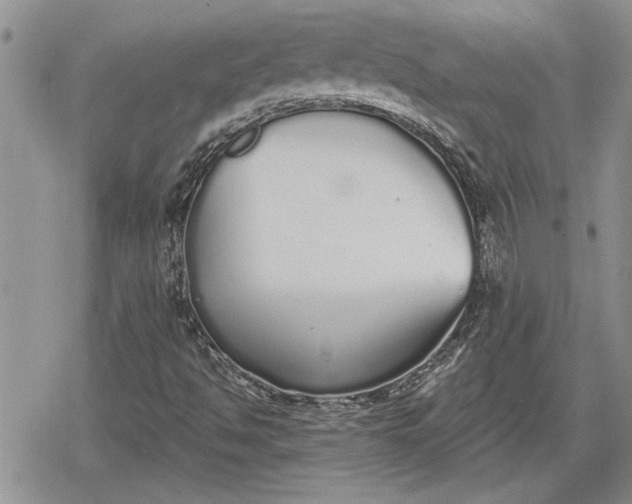 X0000078831494200611271244