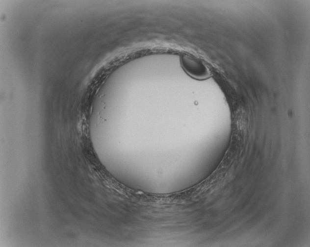 X0000078831495200611271244