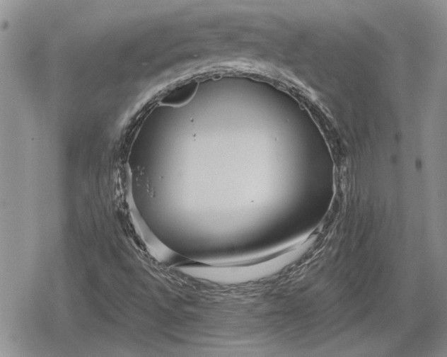 X0000078831496200611271244