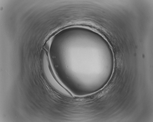 X0000078831497200611271244