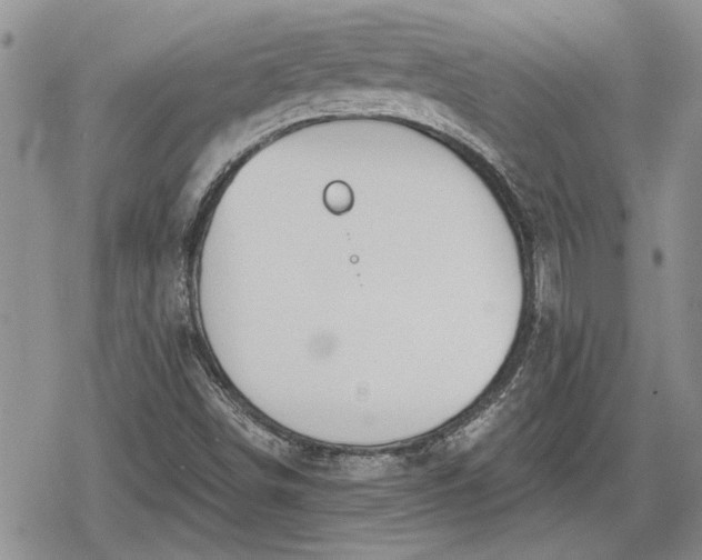 X0000078831498200611271244