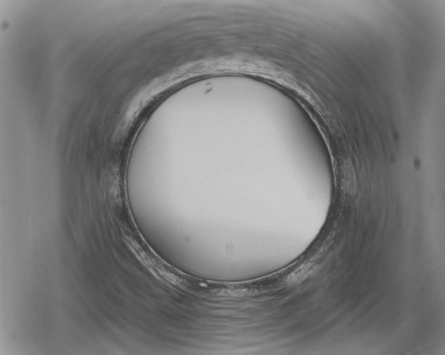 X0000078831499200611271244