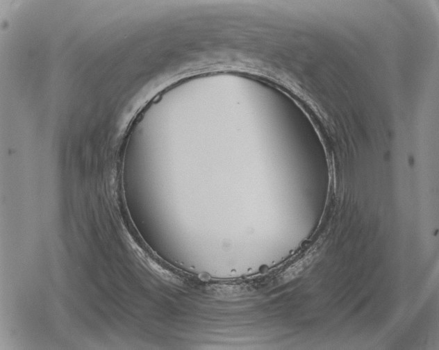 X0000078831500200611271244