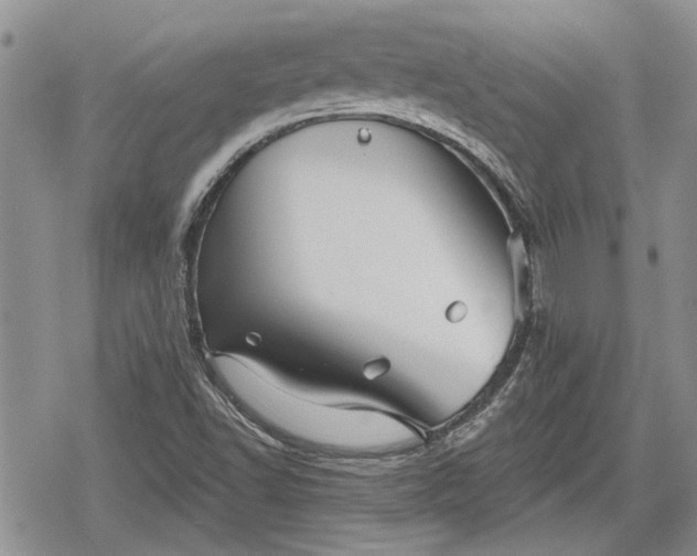 X0000078831502200611271244