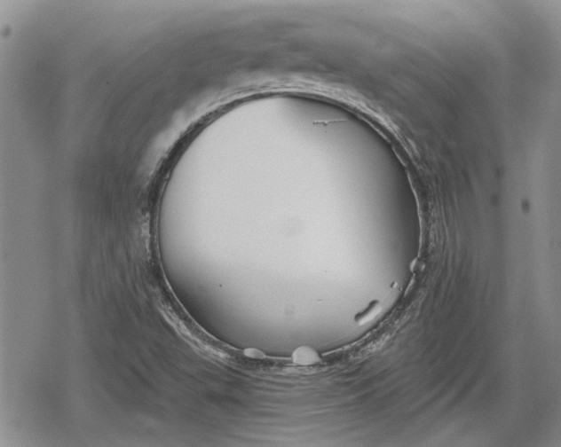 X0000078831503200611271244