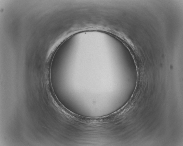 X0000078831504200611271244