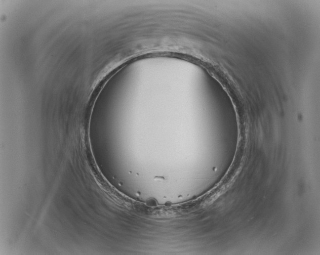 X0000078831505200611271244