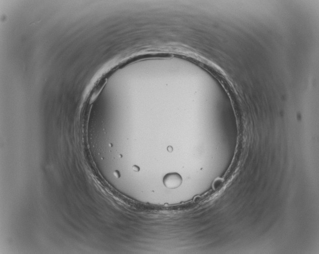 X0000078831506200611271244