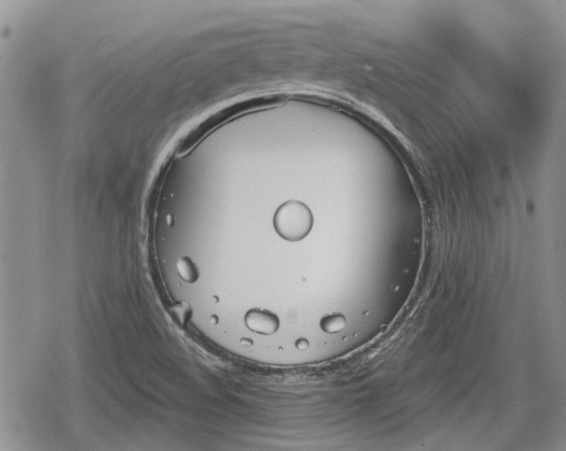 X0000078831508200611271244