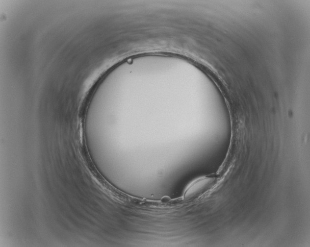 X0000078831509200611271244